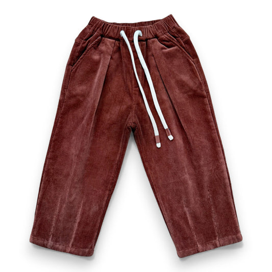 Front view of corduroy trousers with pleat and elasticated waistband